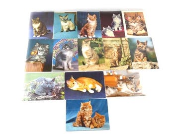 Pode incluir: Uma coleção de cartões postais vintage com diferentes raças de gatos em poses diferentes. Os cartões postais são impressos em cartão grosso e têm um acabamento brilhante. Alguns dos gatos estão sentados, enquanto outros estão deitados ou em pé. Os cartões postais estão todos em bom estado e seriam uma ótima adição à coleção de qualquer amante de gatos.