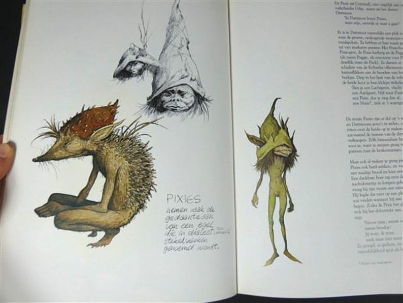 Vintage Brian Froud the Fairies Book 1980 - Etsy
