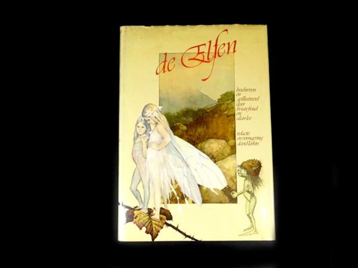 Vintage Brian Froud the Fairies Book 1980 - Etsy