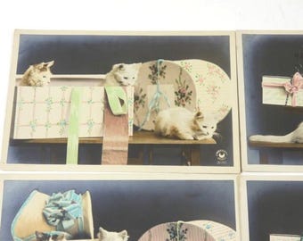 Chat et fleurs (Cat) - Carte postale ancienne et vue d'Hier et Aujourd'hui - #139541