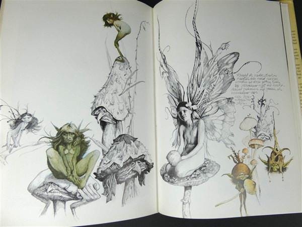 Vintage Brian Froud the Fairies Book 1980 - Etsy