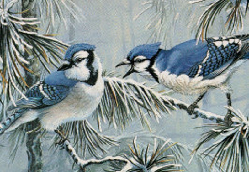 Toronto Blue Jays Winter Jays Art Print by Lawrence Dyer | Etsy