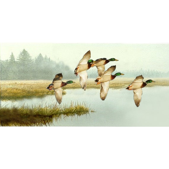 Mallard Patos Volando Impresion Giclee Lona De Arte De La Etsy