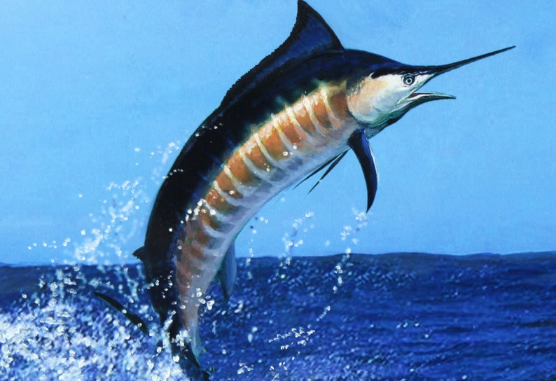 Blue Marlin Giclee Art Print Canvas from original painting by | Etsy