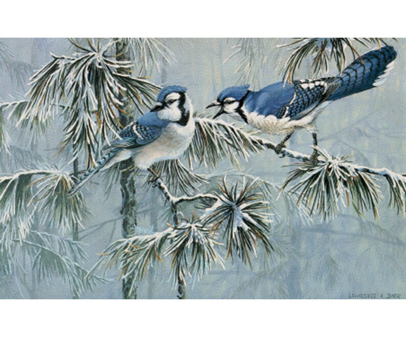 Toronto Blue Jays Winter Jays Art Print by Lawrence Dyer | Etsy