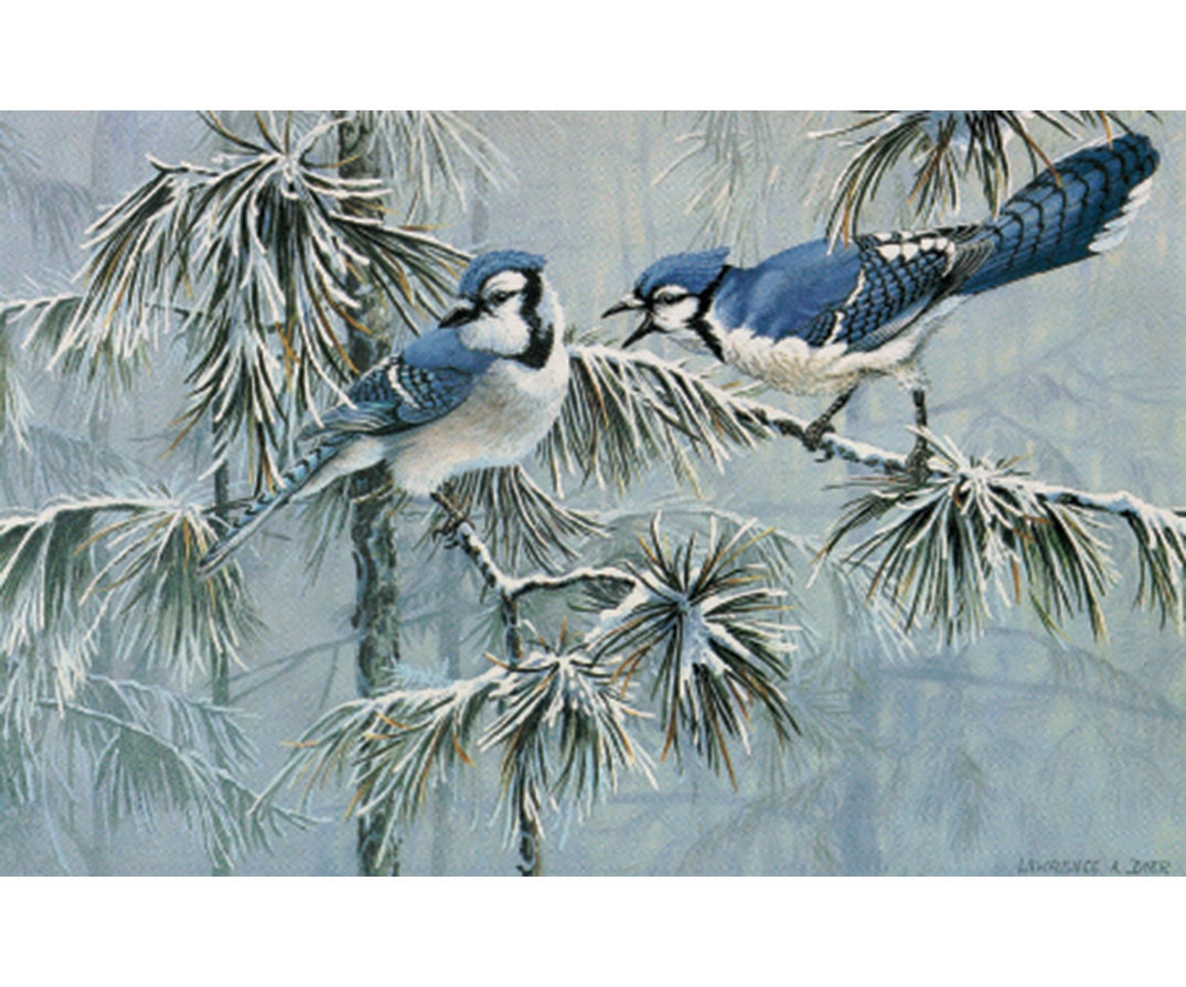 Toronto Blue Jays Winter Jays Art Print by Lawrence Dyer Etsy