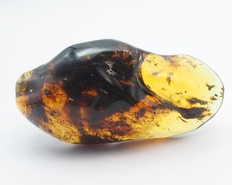 Fully Polished Mexican Amber Piece      -279533