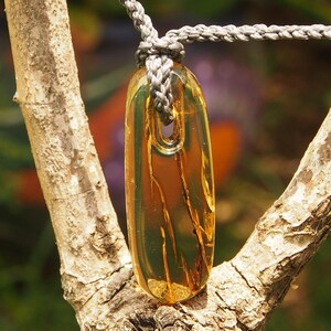 Mexican Amber Slice Pendant image 5