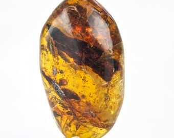 Mexican Amber with Leaf and Insect Inclusion    - 225199