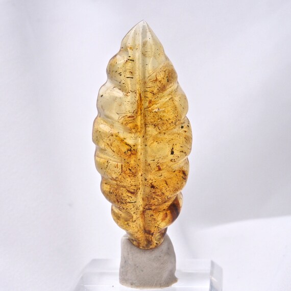 Mexicaine Mexicaine Mexicaine feuille ambre Cabochon Grade B, - 223348 ea368a Mexicaine Mexicaine Mexicaine feuille ambre Cabochon Grade B, - 223348 ea368a