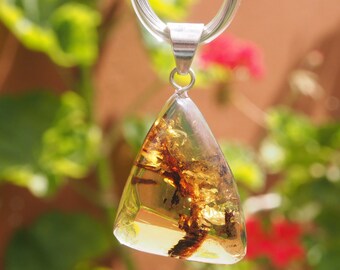 Mexican Amber Pendant with Silver Bail   -267377