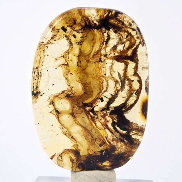 Mexican Amber Double Sided Cabochon 8.8 g, Grade B   - 217727