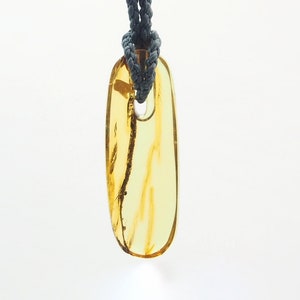 Mexican Amber Slice Pendant image 4