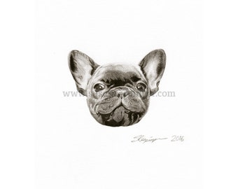 French Bulldog Head Original Drawing