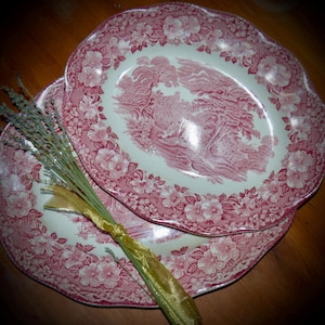 May include: Two pink and white oval ceramic serving platters with a floral design and a landscape scene in the centre. The platters are stacked on top of one another.