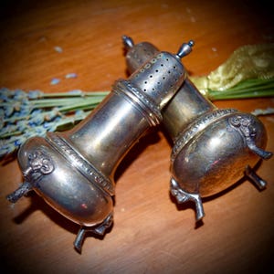 Sterling Silver Salt and Pepper Shakers                   Sku: C232