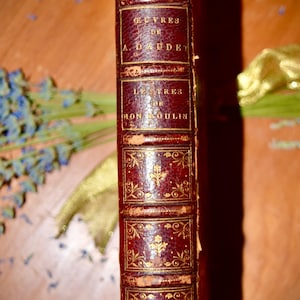 French Antique Book &quot;Oeuvres De Alphonse Daudet&#39;    late c.1800&#39;s           Sku: B018