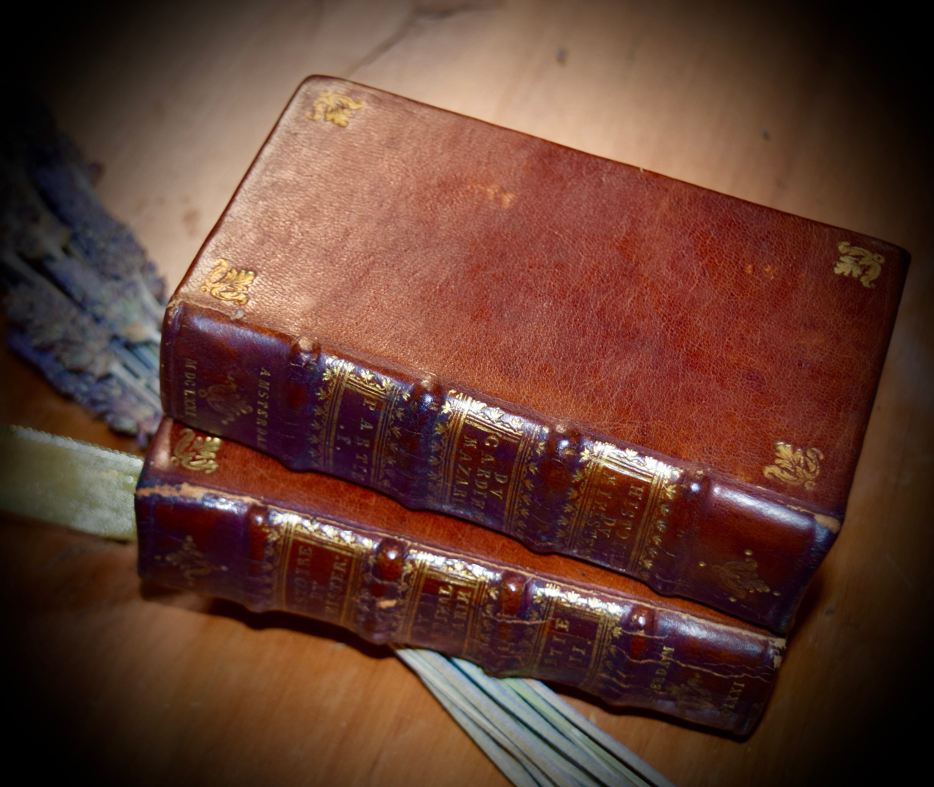 A Pair of French Antique Books 