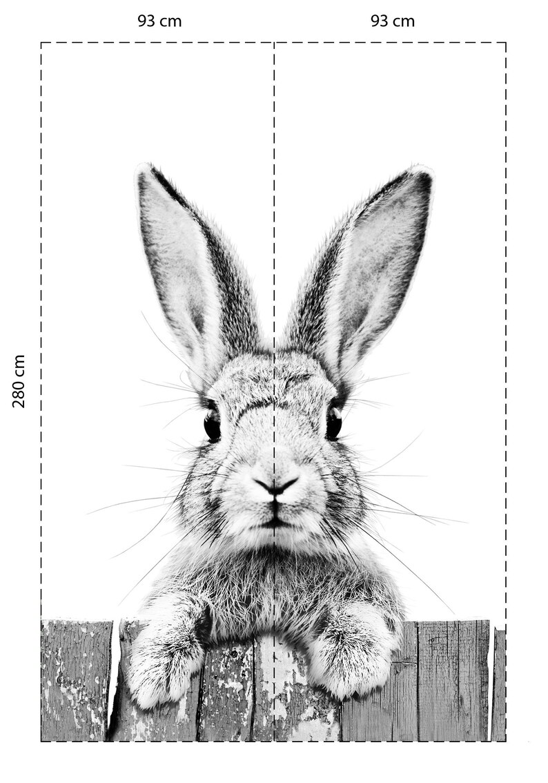 Wallpaper Rabbit Children's room Baby room Nursery Etsy