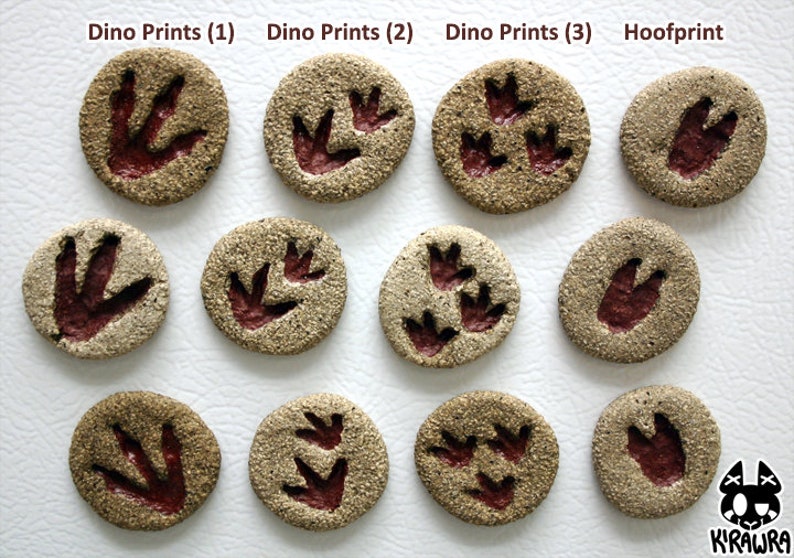dinosaur fossil clay
