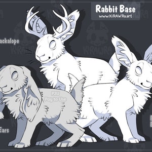 Rabbit Base Pack || Digital Lineart Adoptable Character Ref Reference Sheet OC Feral Animal Bunny Jackalope Jackrabbit Lop Blank Colorable