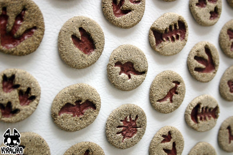 dinosaur fossil clay