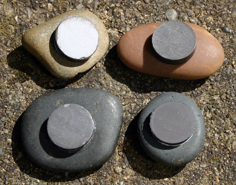 Painted Fossil Rock Land Animals Gold Paint Etsy