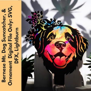 Berner Sennenhund Nachtlicht SVG Bundle