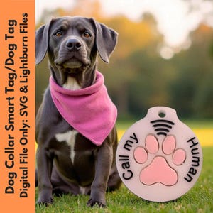 Può includere: Un cane grigio con una bandana rosa è seduto sull'erba accanto a un'etichetta per cani rosa e bianca. L'etichetta ha un'impronta di zampa e le parole "Call my Human". L'immagine include anche il testo "Dog Collar Smart Tag/Dog Tag Digital File Only: SVG & Lightburn Files".
