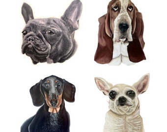 Dog sticker pack, Dog stickers, French Bulldog sticker, Dachshund sticker, Chihuahua sticker, Basset Hound sticker, Wiener Dog sticker