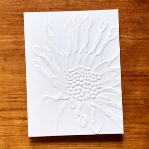 8 3D Embossed Daisy Cards, White Floral Note Card Set, African Daisies ...