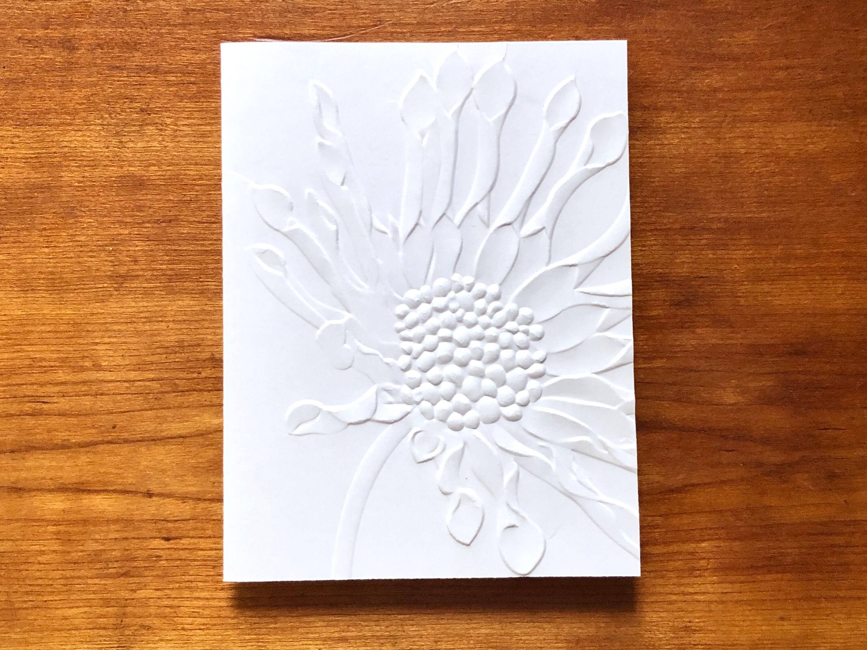 8 3D Embossed Daisy Cards, White Floral Note Card Set, African Daisies ...