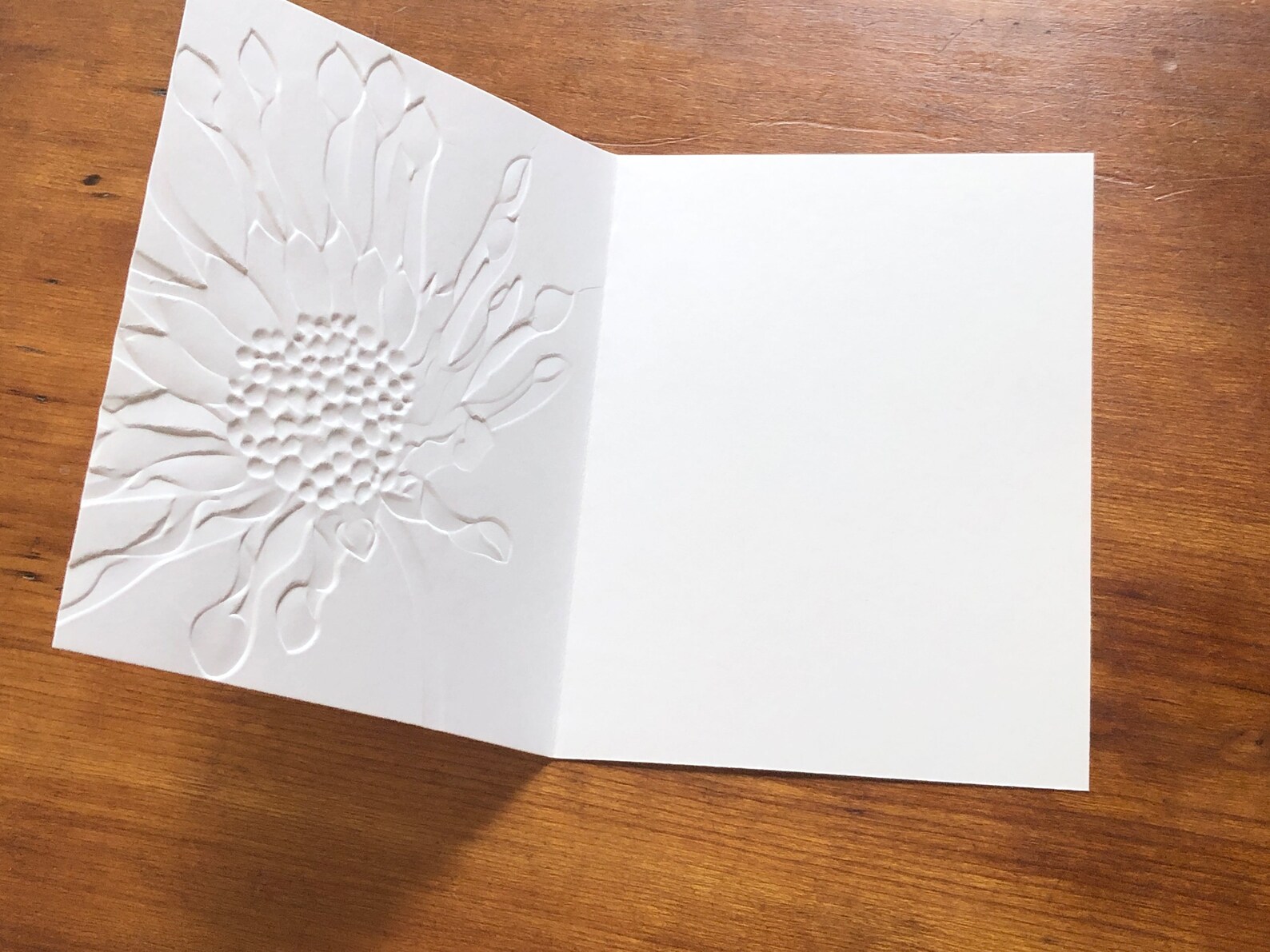 8 3D Embossed Daisy Cards, White Floral Note Card Set, African Daisies ...