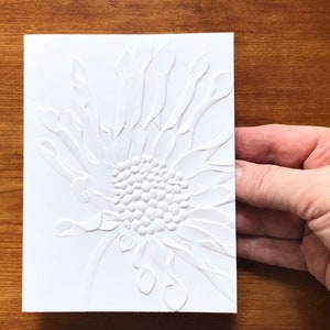 8 3D Embossed Daisy Cards, White Floral Note Card Set, African Daisies ...