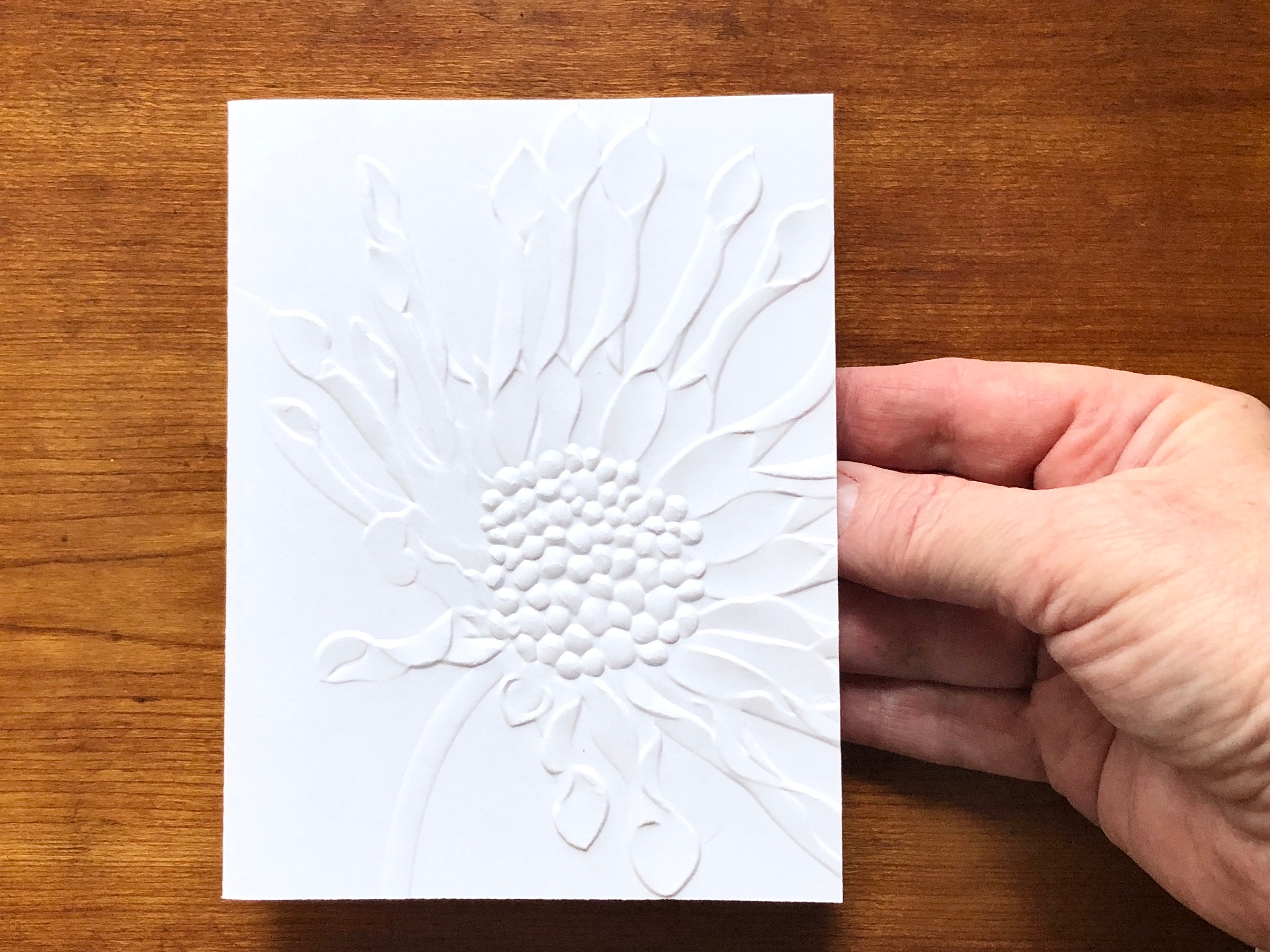 8 3D Embossed Daisy Cards, White Floral Note Card Set, African Daisies ...