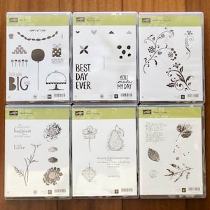 Stampin Up Retired Stamps Sets, Best Day Ever, Flowering Flourishes, Field Flowers, French Foliage, Big Wish, Faith Nature, DIY Card Making