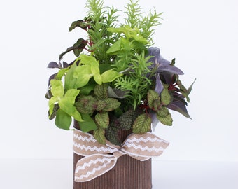 Faux Herbs Farmhouse Centerpiece, Faux Herbs in Galvainzed Pot, French Country  Faux Herbs for Kitchen, Farmhouse Faux Greenery Arrangement