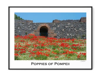Poppies of Pompeii-Italy Wall Art-Poppies-Flowers-Spring Flowers-Extra Large Wall Art-Pompeii-Wanderlust Gift-Art Print-Travel Photography