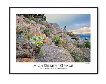High Desert Grace-Cactus-Albuquerque-Desert Print-Large Wall Art-Art Print-Southwestern Decor-Photograph-New Mexico