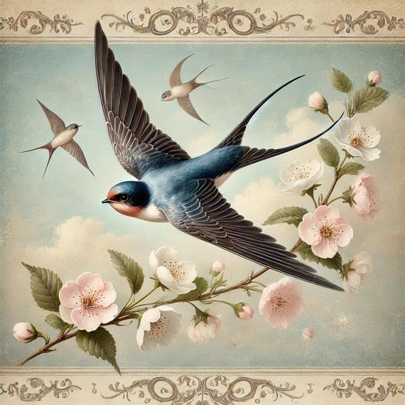 Vintage Swallows Cherry Blossom Print: Spring Bird Wall Art (Digital Download)