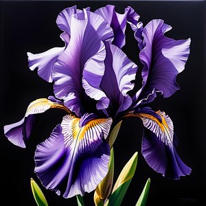 Purple Iris Floral Digital Download Elegant Botanical Wall Art Purple Flower Digital Print for Living Room Décor Flower Lover Gift Idea
