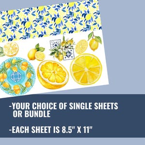 May include: A sheet of paper with watercolor illustrations of lemons and lemon slices, with a blue and yellow lemon leaf pattern at the top. The text reads: "YOUR CHOICE OF SINGLE SHEETS OR BUNDLE - EACH SHEET IS 8.5" X 11".