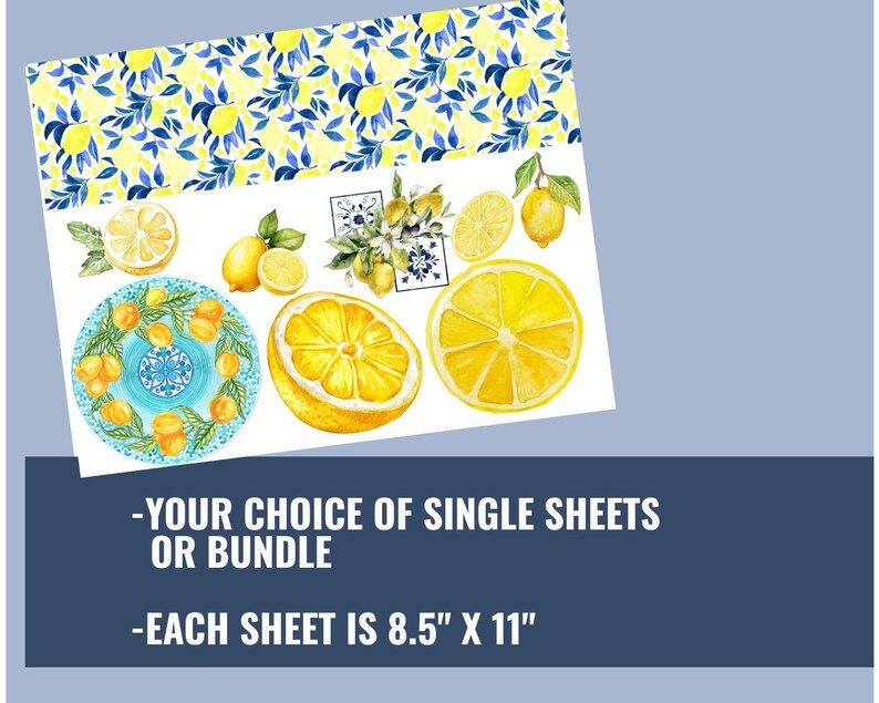 May include: A sheet of paper with watercolor illustrations of lemons and lemon slices, with a blue and yellow lemon leaf pattern at the top. The text reads: "YOUR CHOICE OF SINGLE SHEETS OR BUNDLE - EACH SHEET IS 8.5" X 11".
