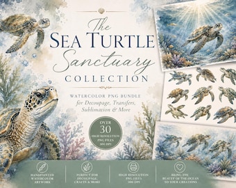 Sea Turtle PNG Bundle | Watercolor Sea Turtle Clipart | Ocean PNG | Turtle Sublimation Designs l Ocean Digital Download l Digital Scrapbook