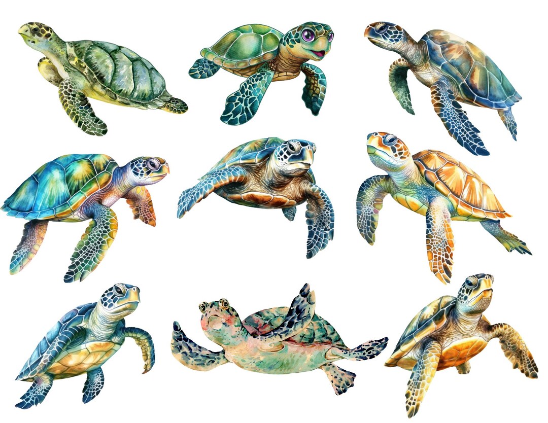 Sea Turtle Decoupage / Sea Turtle Rice Paper/ A4 Rice Paper / Sea ...