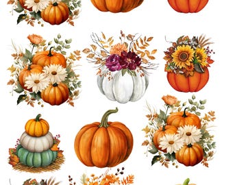 May include: A collection of digital illustrations featuring various orange, white, and green pumpkins, some decorated with arrangements of sunflowers, white daisies, autumn leaves, berries, and dark purple flowers, presented as individual graphic elements.
