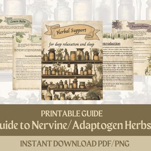 Tinturas de ervas Impressões digitais Receitas para chás de ervas Medicamentos e remédios Chás naturais para amantes de chá Chá de cura homeopática Receita de presente