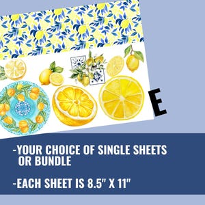 May include: Sheets of paper featuring watercolor illustrations of lemons and lemon-themed designs. The sheets measure 8.5" x 11" and include a variety of lemon slices, whole lemons, and decorative patterns. Text on the image reads: "-YOUR CHOICE OF SINGLE SHEETS OR BUNDLE -EACH SHEET IS 8.5" X 11"."