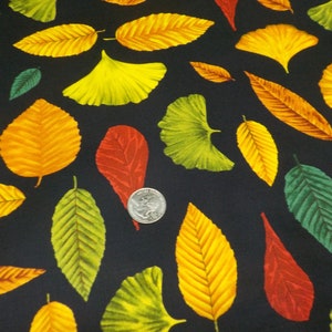 Autumn Leaves Cotton Quilting Fabric - Autumn Song - By The Yard