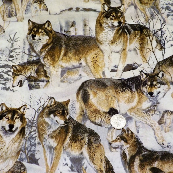 Cotton Fabric, David textiles, Wolves, Wolf, Born free, Wolves in the wild, Out of the den, Wolf Pack, By the yard, Wild things, Majestic